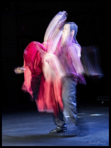 Danser #5, 2026