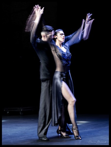 Danser #19, 2026
