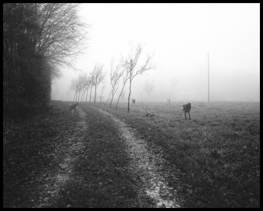 Le photographe #3, 2016