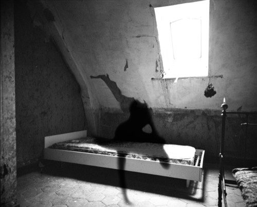 Memento mori #4, 2015