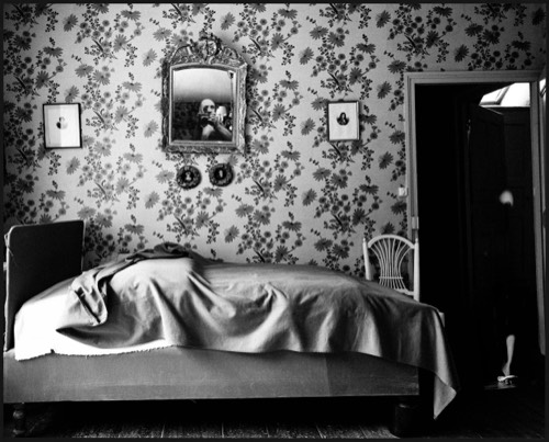 Nu avant l'amour, 2018