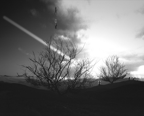 Printemps #11, 2015