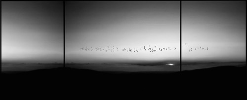 Triptyques