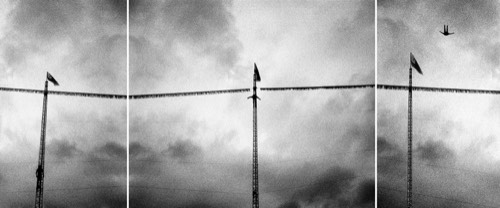 Plongeurs, 2015