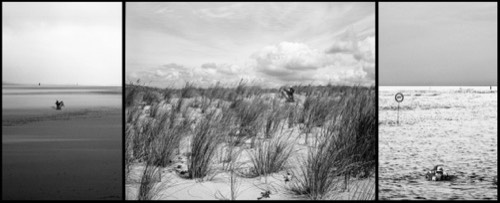 Lost child, 2016